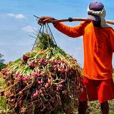 968717880-jpg-1770194827381