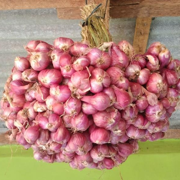 sedang-1757987907brams1-jpg-1770194807018